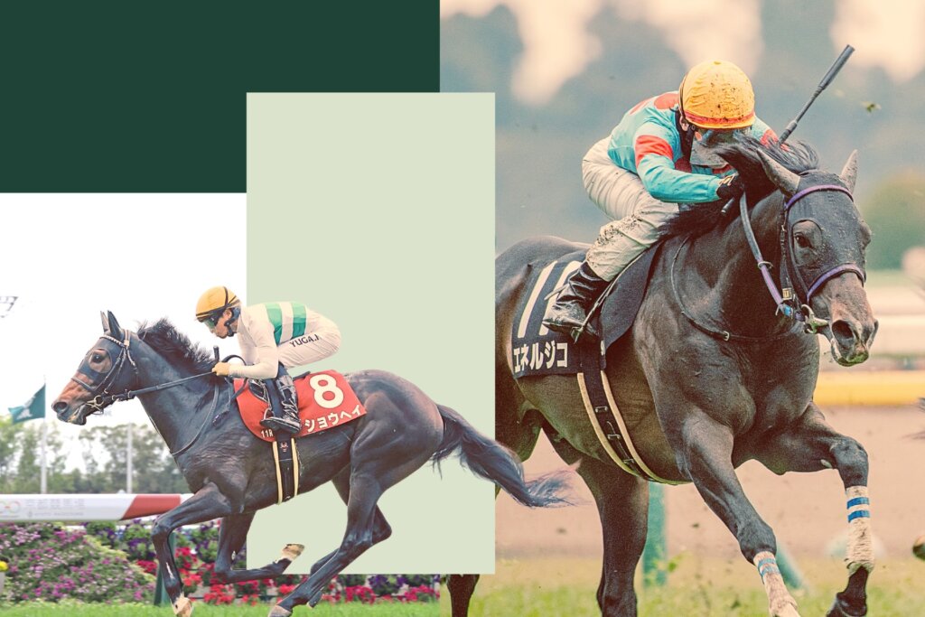 G1 Guide Kikuka Sho