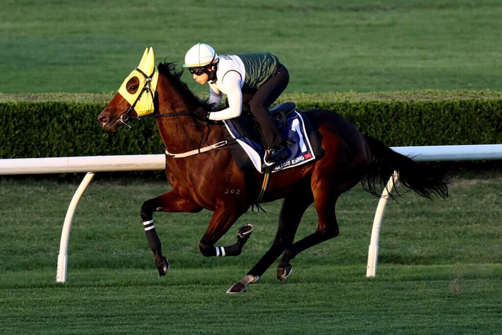 Ka Ying Rising gallops at Canterbury