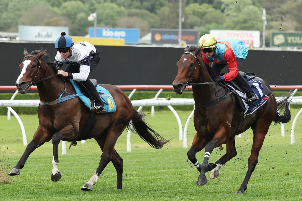 Ka Ying Rising trialling alongside Overpass at Randwick