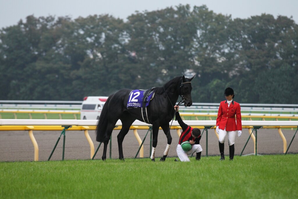 Mirco Demuro and Eishin Flash win the G1 Tenno Sho (Autumn)