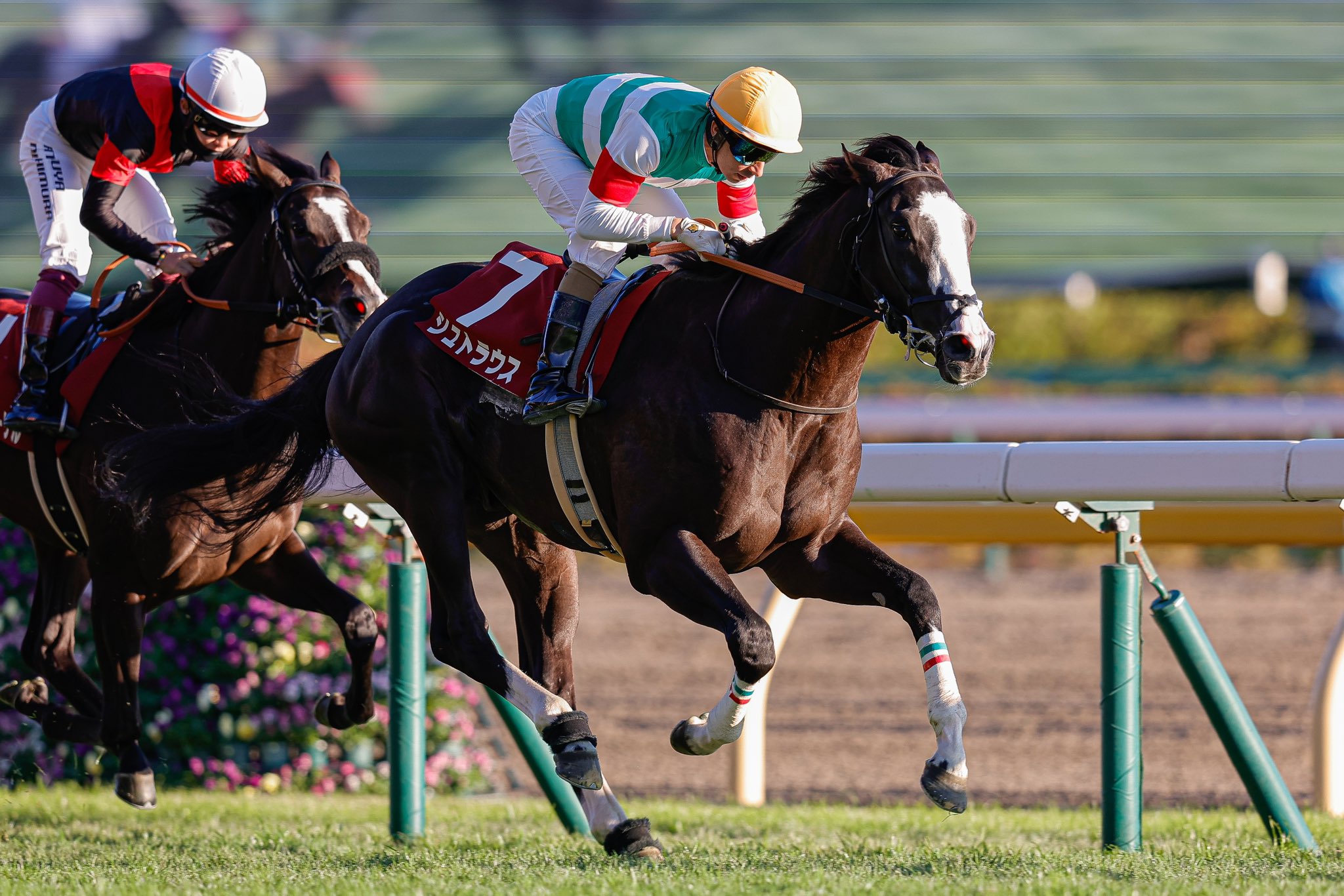 Joao Moreira riding Strauss