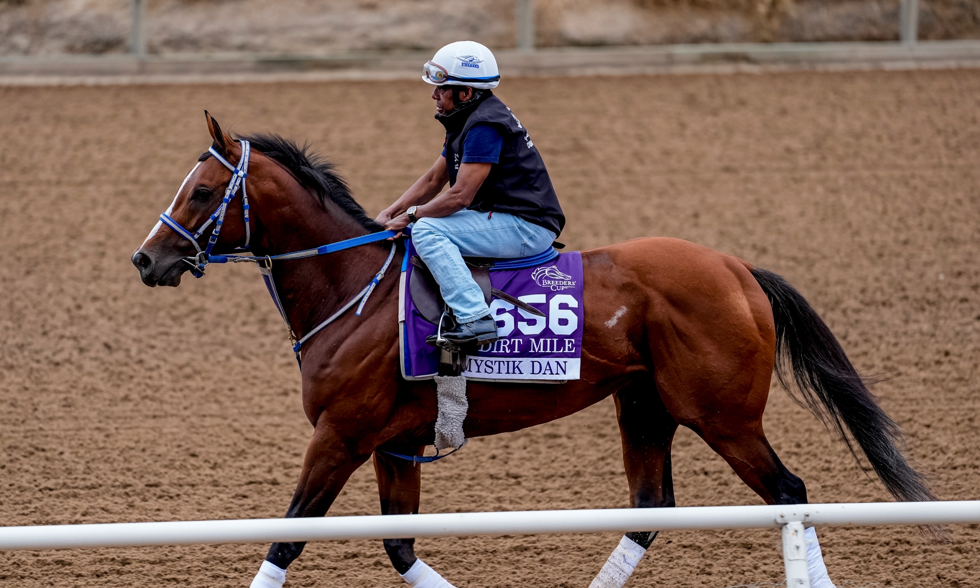 Mystik Dan ahead of the 2025 Breeders' Cup
