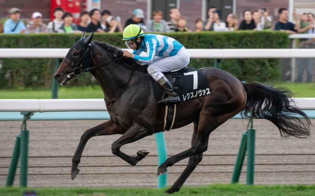 Rex Novus wins at Sapporo