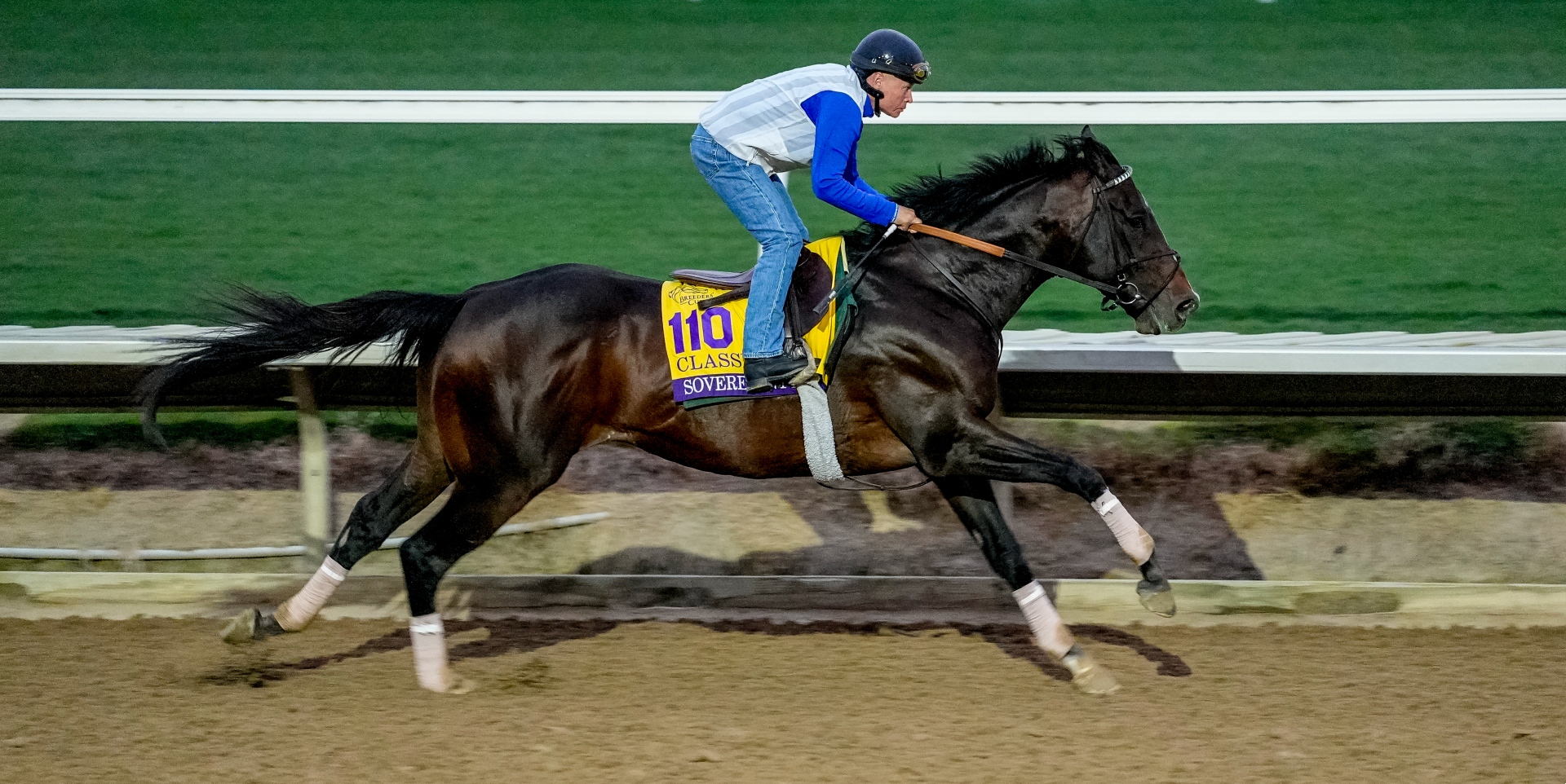 Sovereignty tunes up for the 2025 Breeders' Cup Classic
