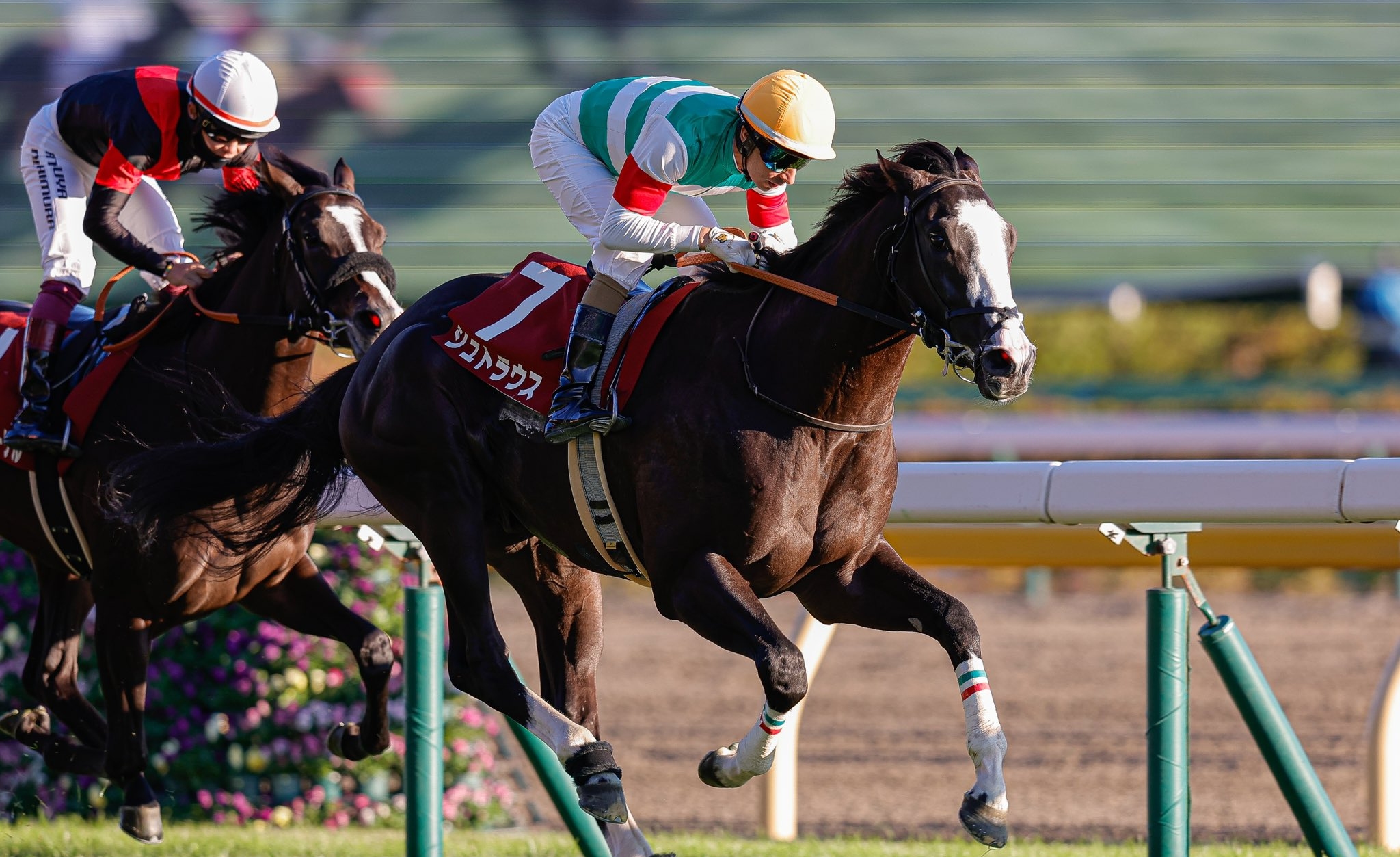 Joao Moreira riding Strauss