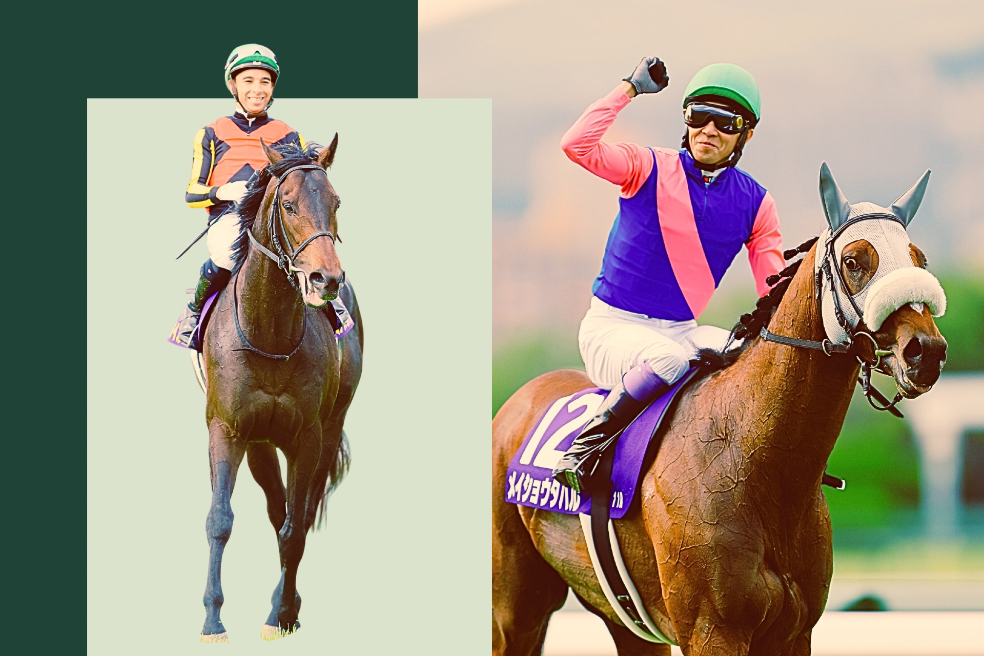 Guide to the 2025 G1 Tenno Sho Autumn