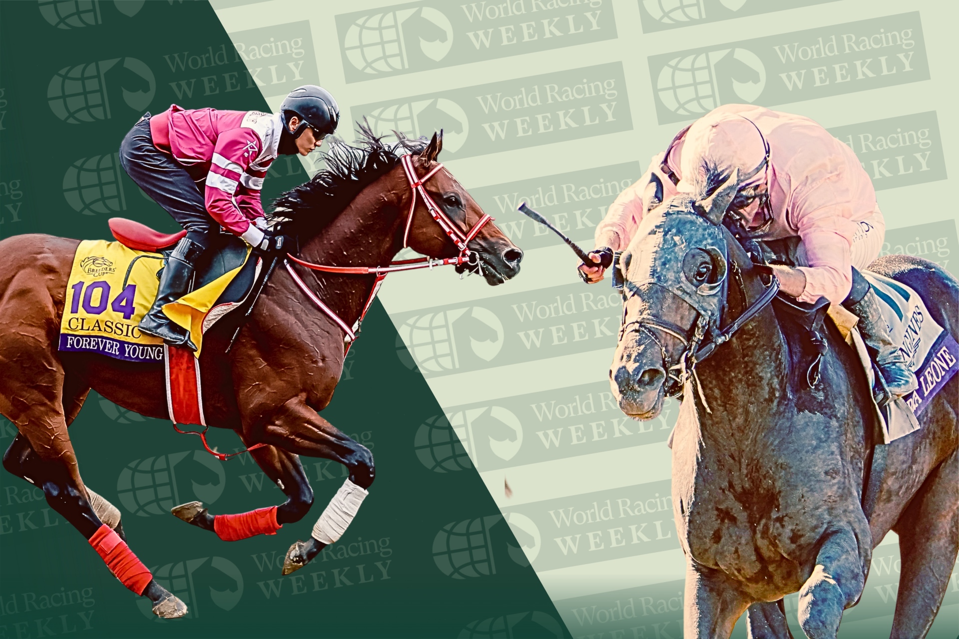 Forever Young and Sierra Leone are set to rematch in the Breeders' Cup Classic