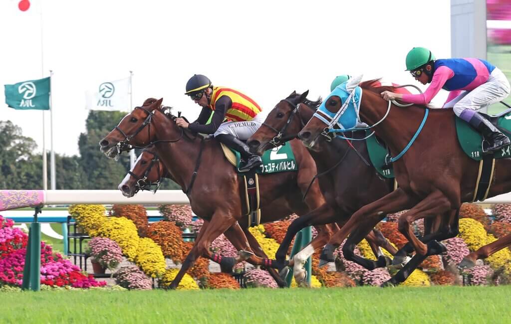 Festival Hill wins the Fantasy Stakes