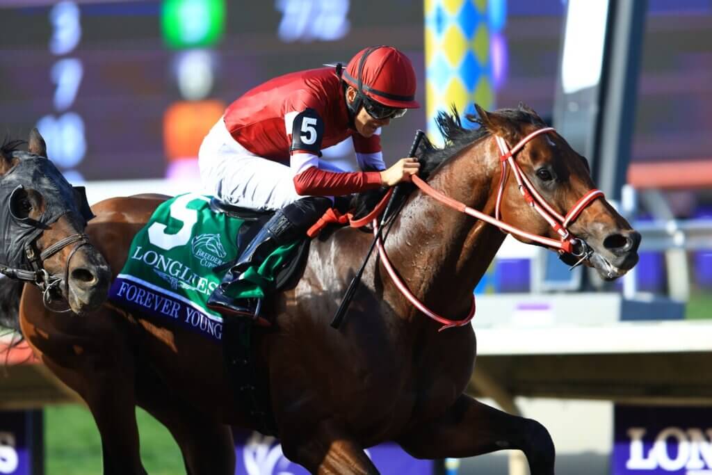 Forever Young wins Breeders' Cup Classic