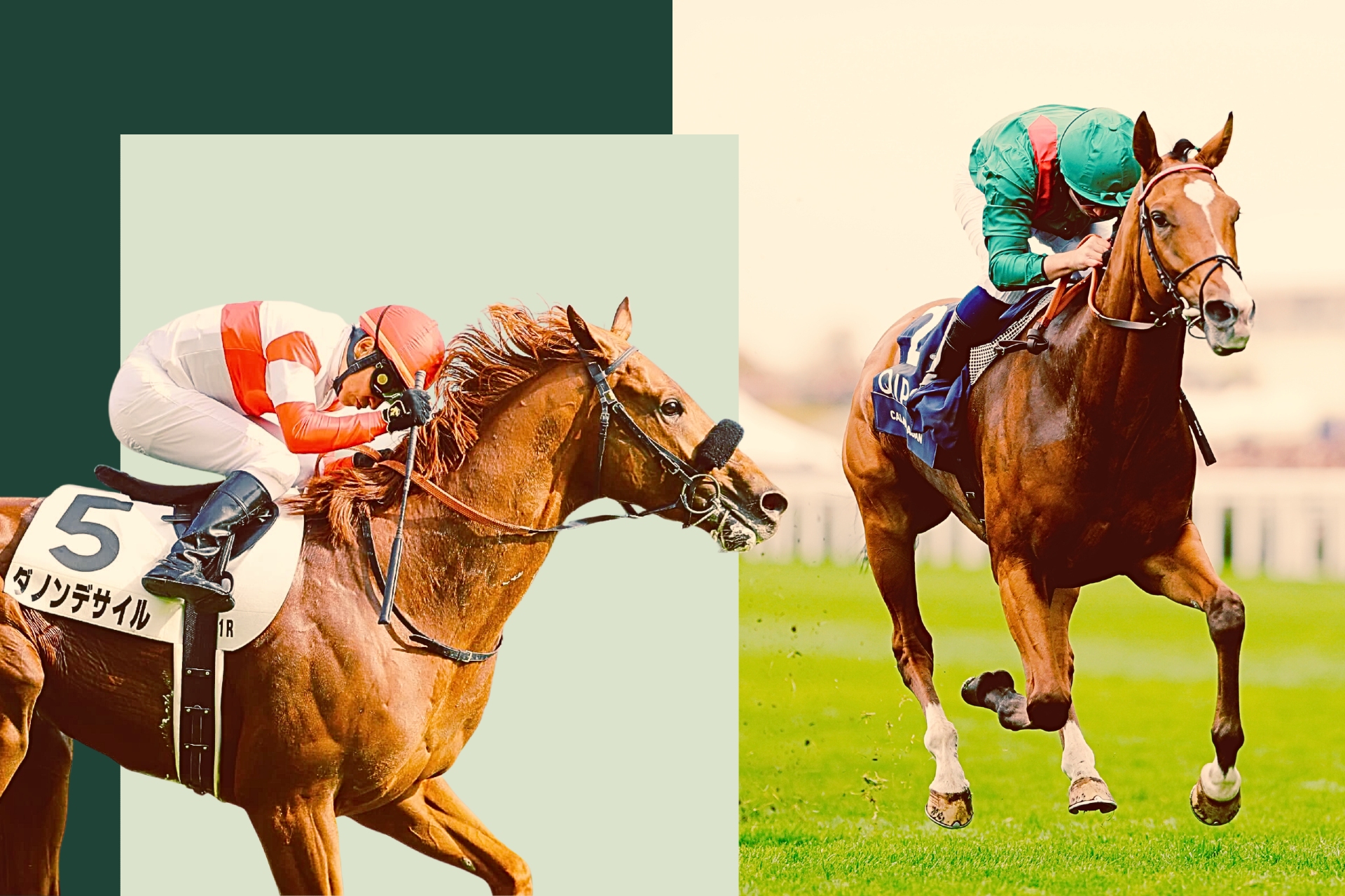 Japan Cup contenders Danon Decile and Calandagan