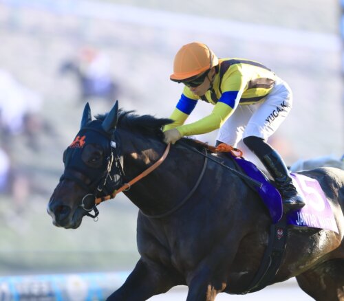 Yuga Kawada and Jantar Mantar winning the Mile Championship at Kyoto