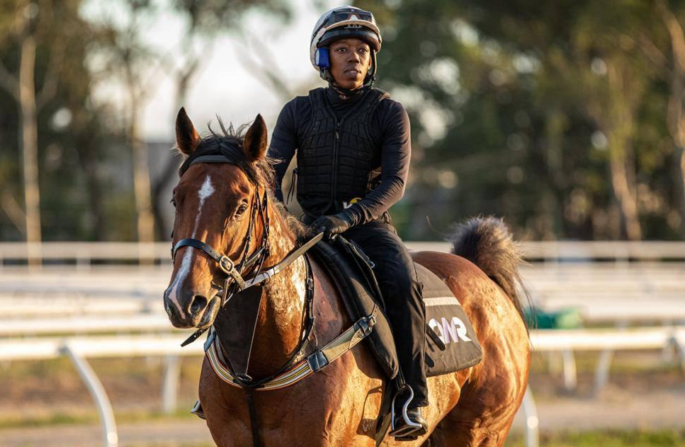 Strapper Piso Moagi and Autumn Glow at Rosehill trackwork
