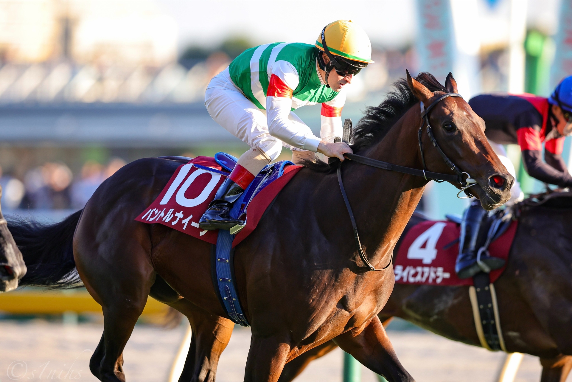 出世レースの東スポ杯2歳Sから今年も新星到来、パントルナイーフは“傑作”なのか