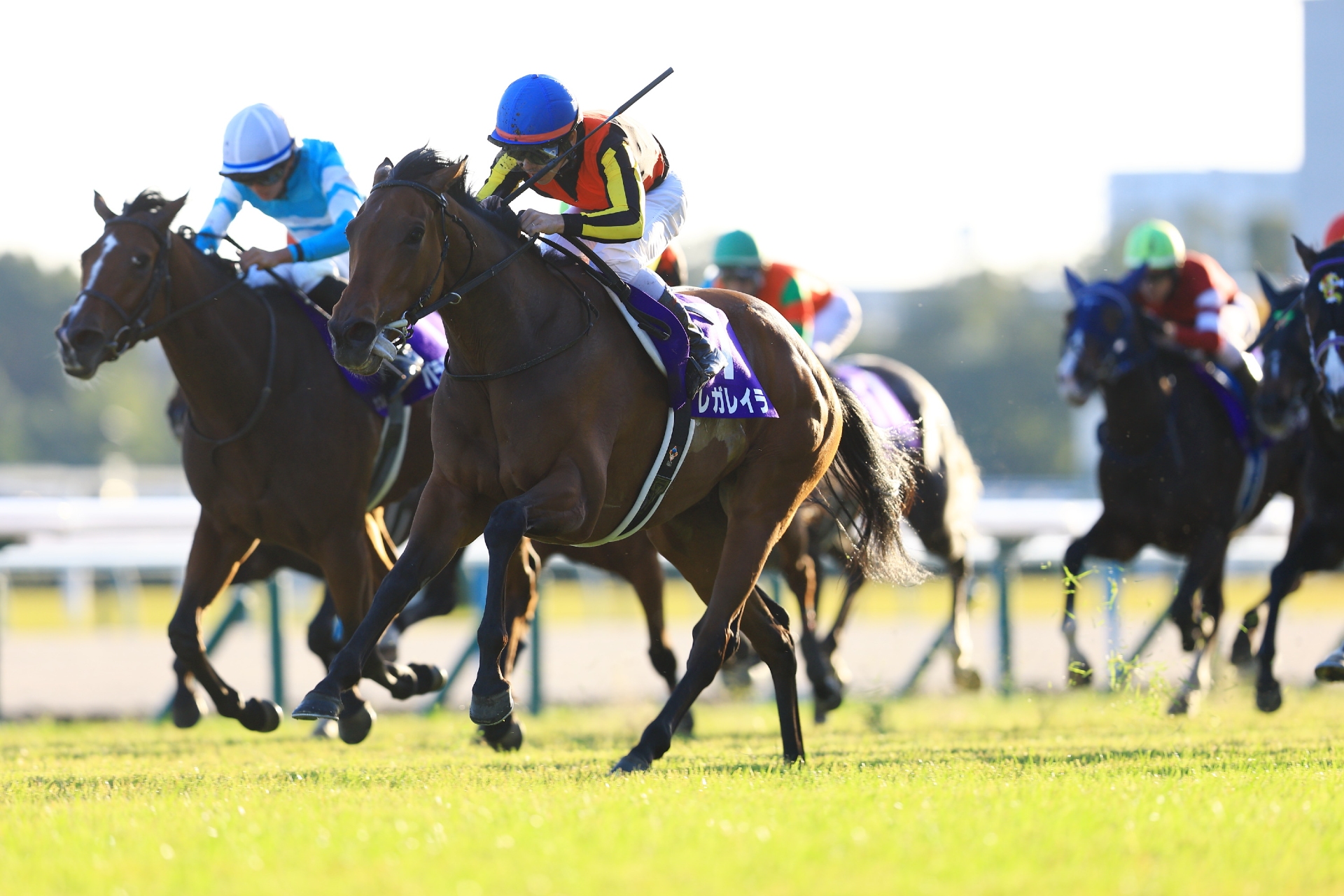 Regaleira and Keita Tosaki claim the Queen Elizabeth II Cup at Kyoto