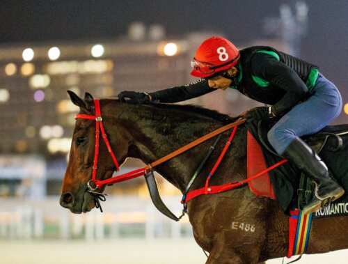 Romantic Warrior at trackwork in Sha Tin