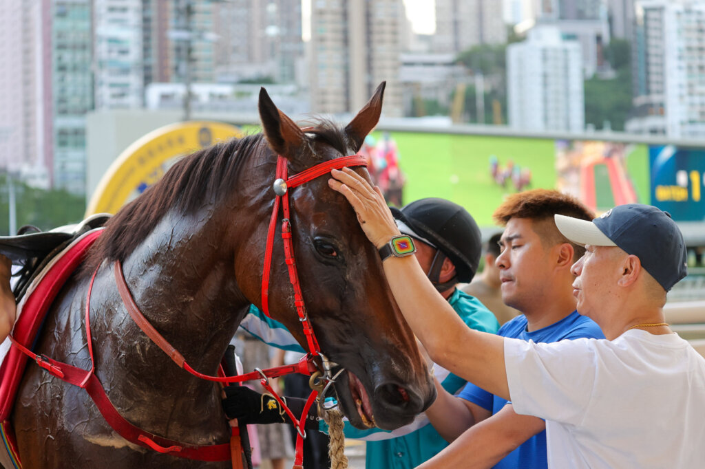 Danny Shum pats Romantic Warrior after trackwork at Happy Valley