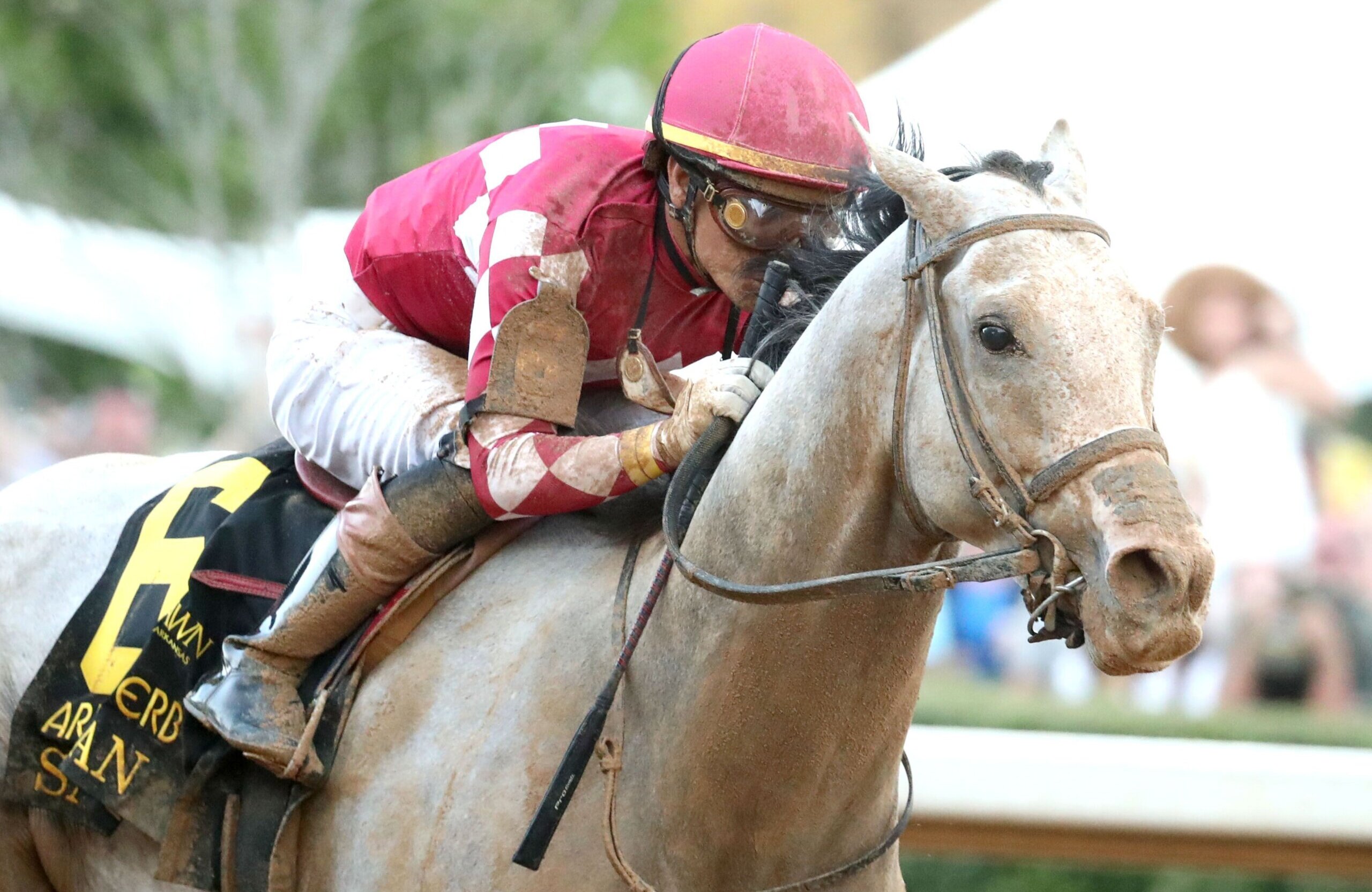 Sandman wins the G1 Arkansas Derby at Oakland Park