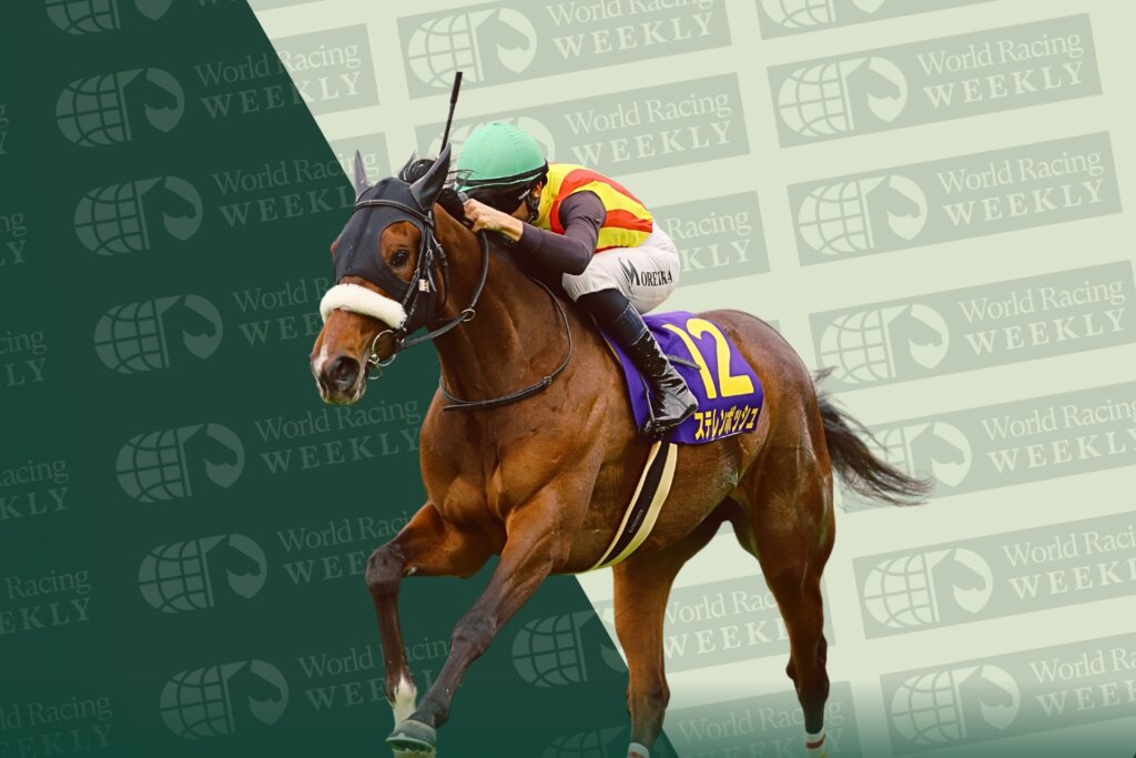 Stellenbosch wins the G1 Oka Sho