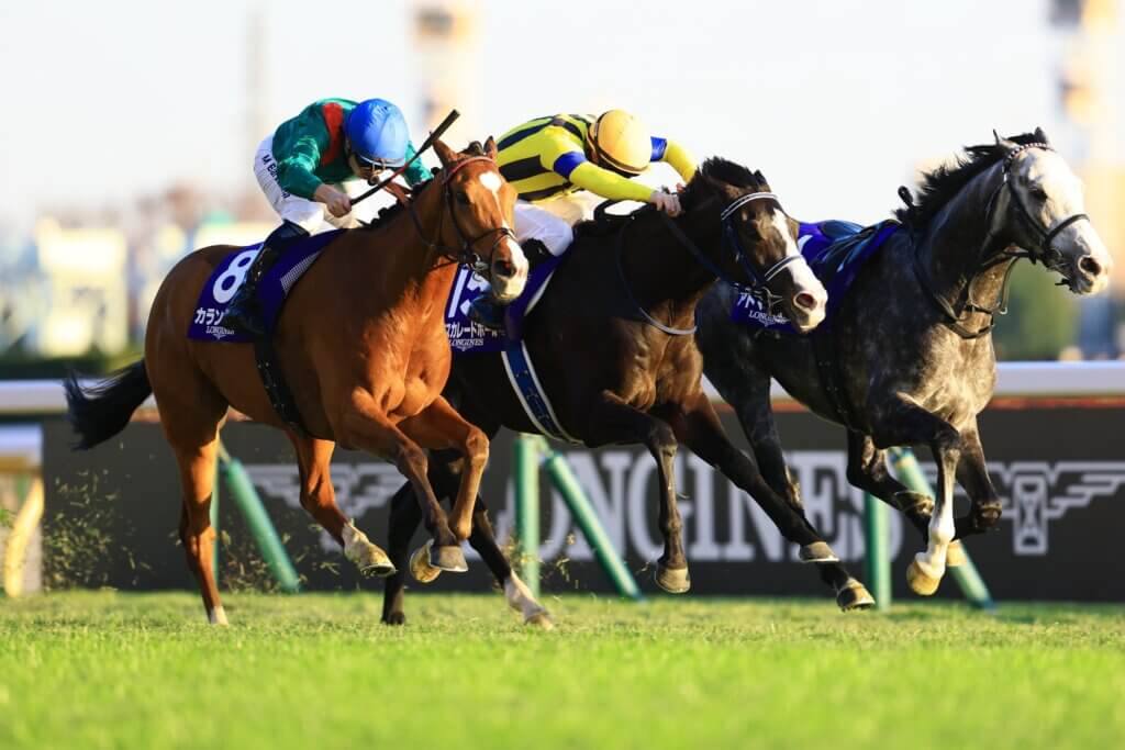 Calandagan winning the 2025 Japan Cup over Masquerade Ball at Tokyo Racecourse