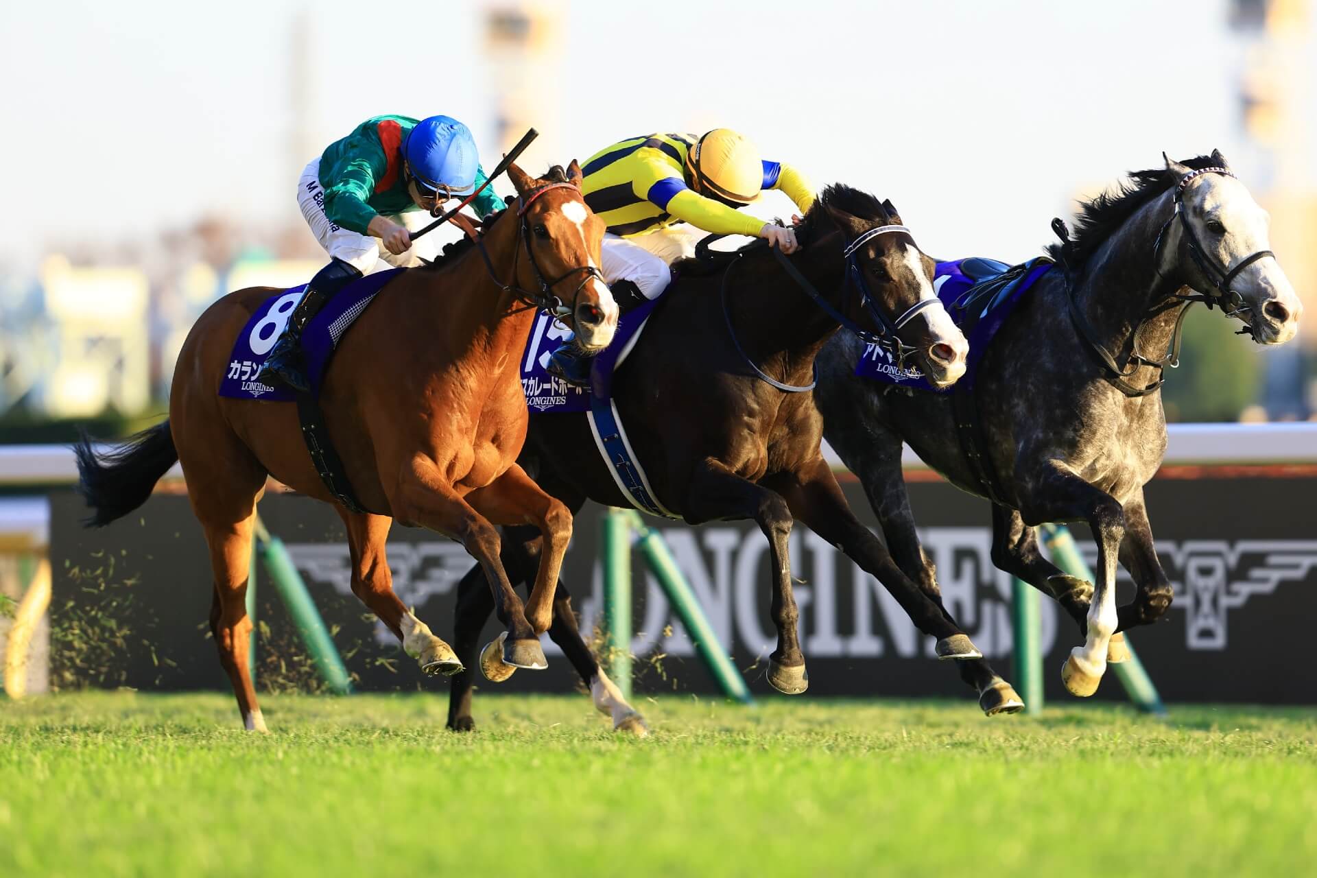 Calandagan winning the 2025 Japan Cup over Masquerade Ball at Tokyo Racecourse