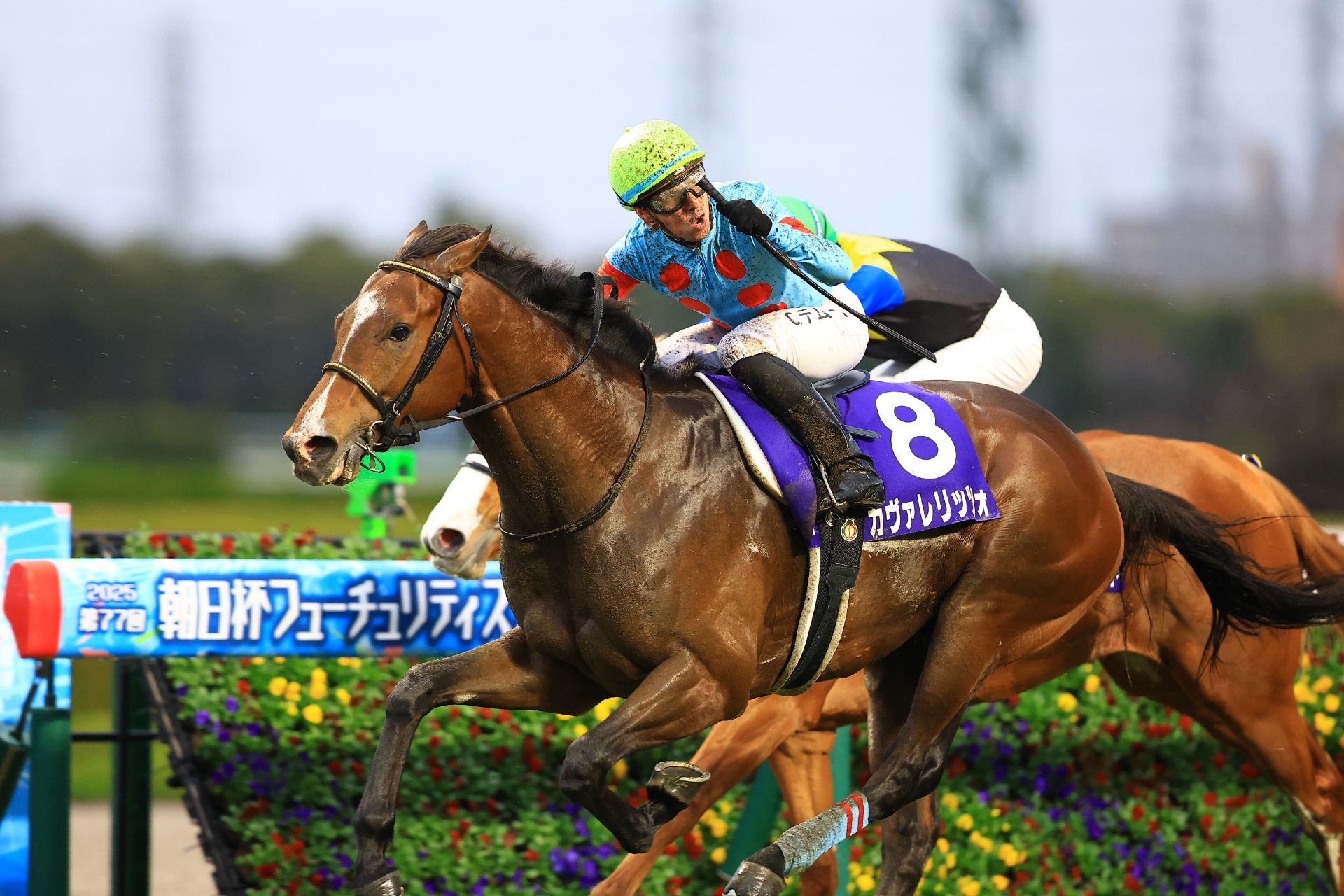 Cavallerizzo and Cristian Demuro claim the G1 Asahi Hai Futurity Stakes