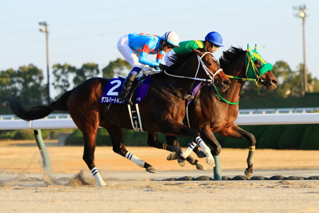 Ryusei Sakai and W Heart Bond win the 2025 Champions Cup at Chukyo