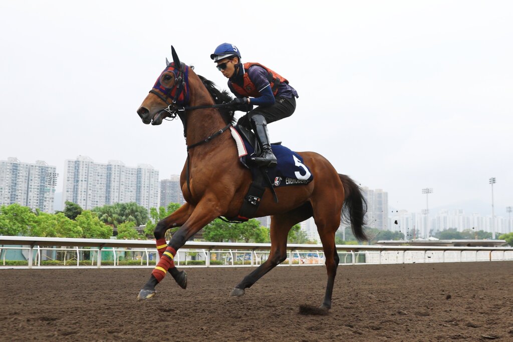 Embroidery at Sha Tin