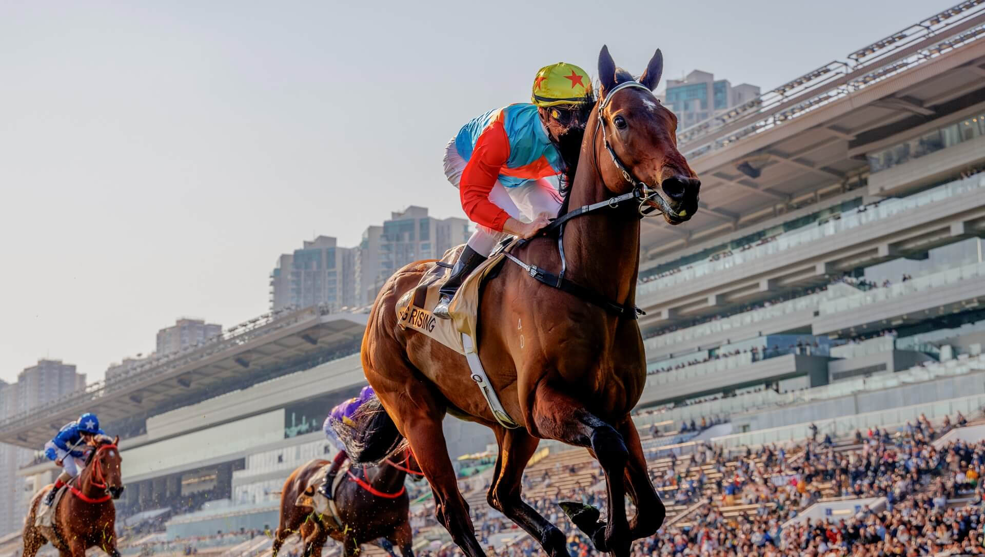 Ka Ying Rising wins the G1 Centenary Sprint Cup