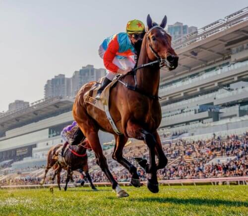 Ka Ying Rising wins the G1 Centenary Sprint Cup