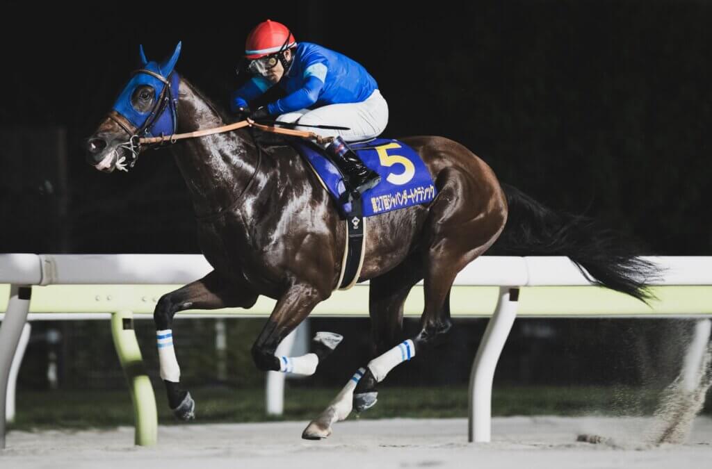 Keita Tosaki rides Narukami to victory in the  2025 Japan Dirt Classic at Oi