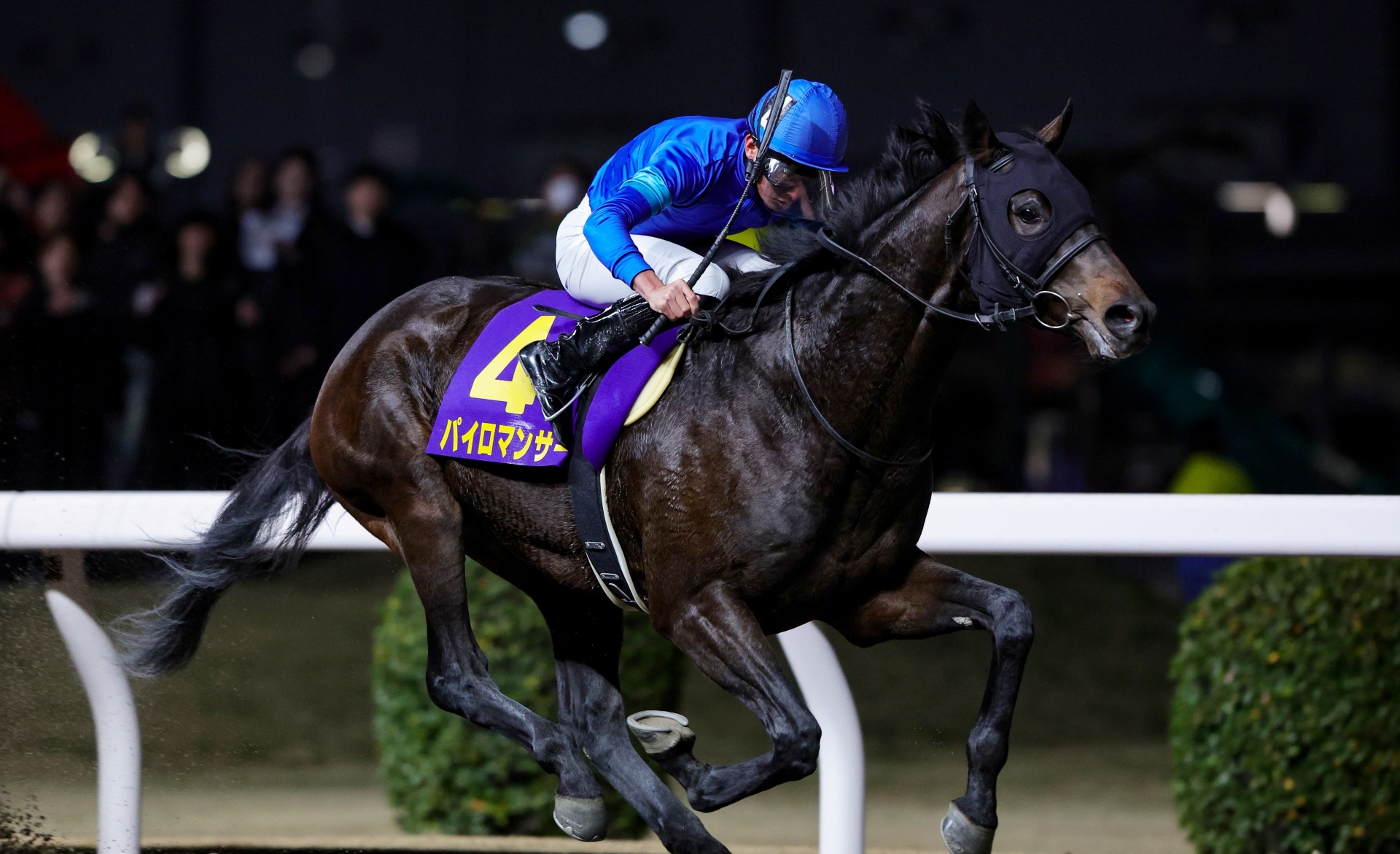 Pyromancer wins the Jpn1 Zen Nippon Nisai Yushun