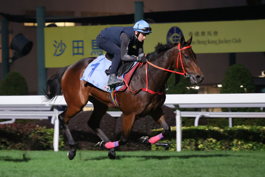 James McDonald rides Romantic Warrior at trackwork ahead of HKIR assignment