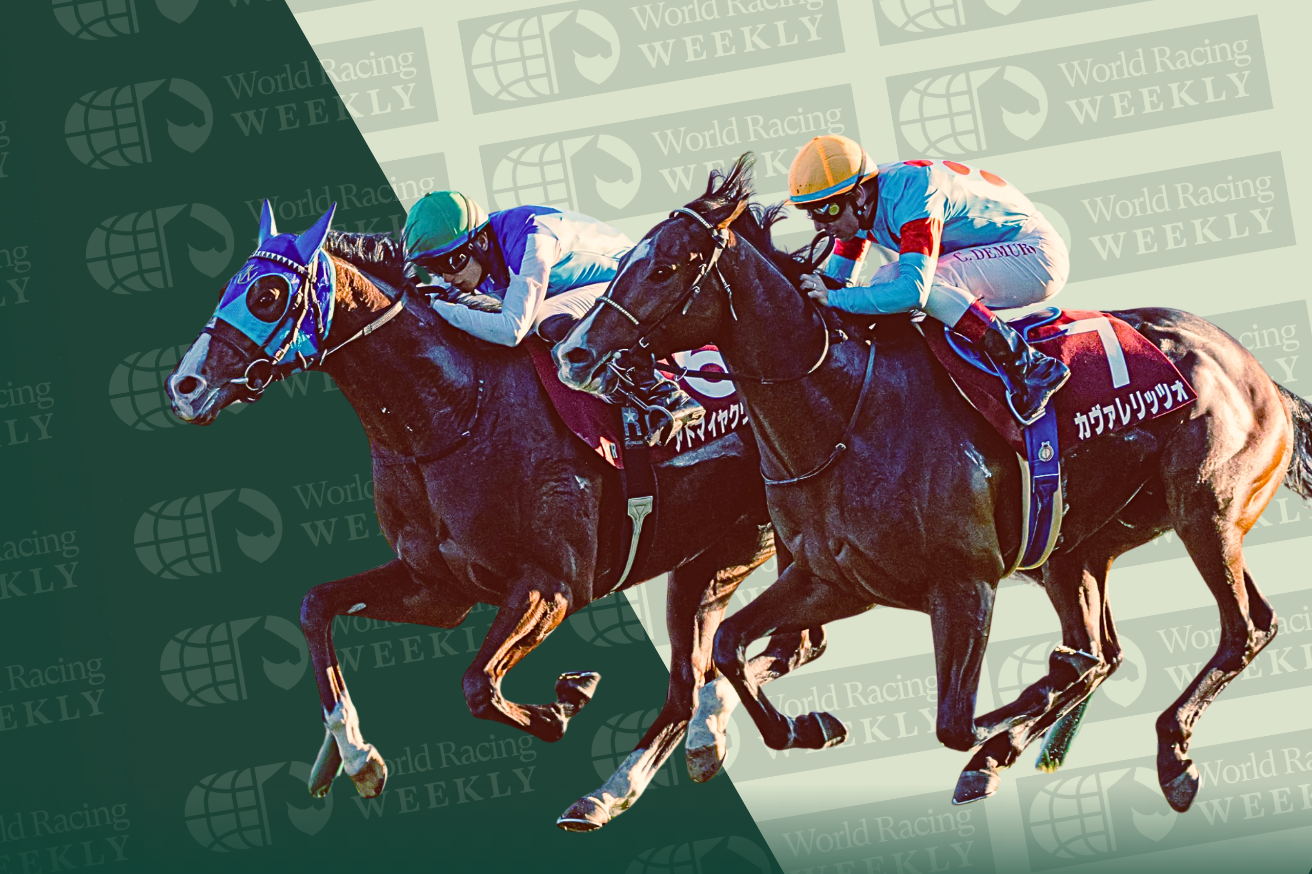 Cavallerizzo and Admire Quads, G2 Daily Hai Nisai Stakes