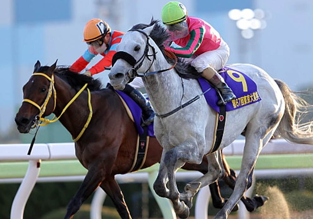 Omegae Perfume beats Clincher to claim a fourth G1 Tokyo Daishoten at Oi