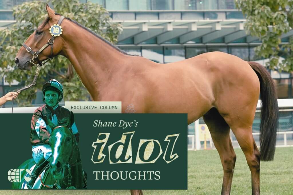 DYE Overlay Sale yarn