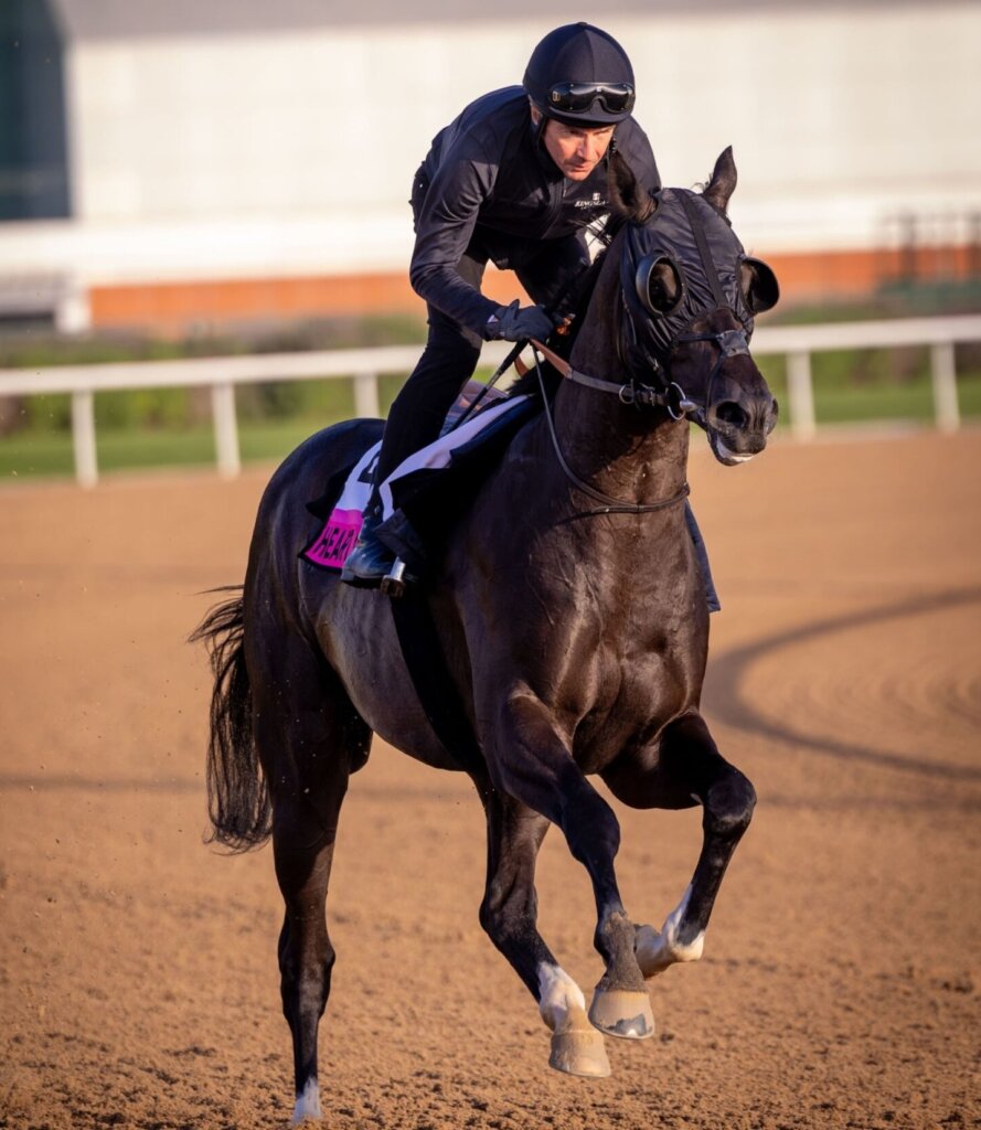 Heart Of Honor completing trackwork at Meydan