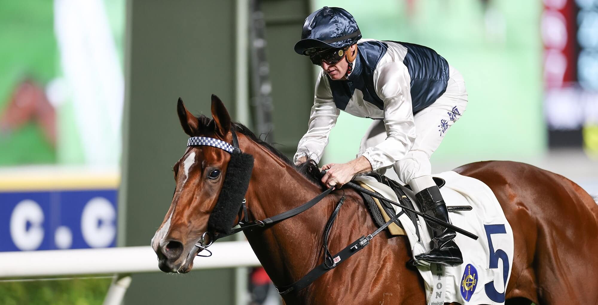 Zac Purton winning on Invincible Ibis at Sha Tin in December 2025