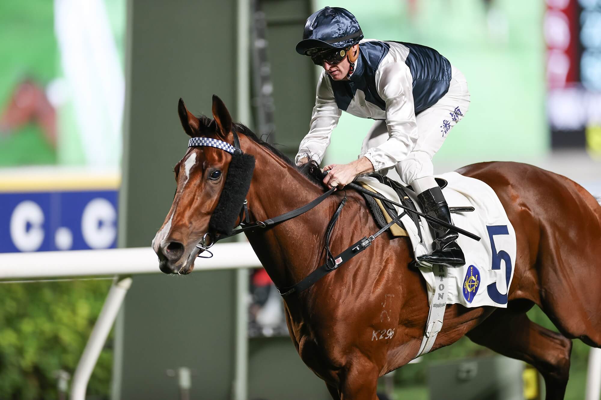 Zac Purton winning on Invincible Ibis at Sha Tin in December 2025