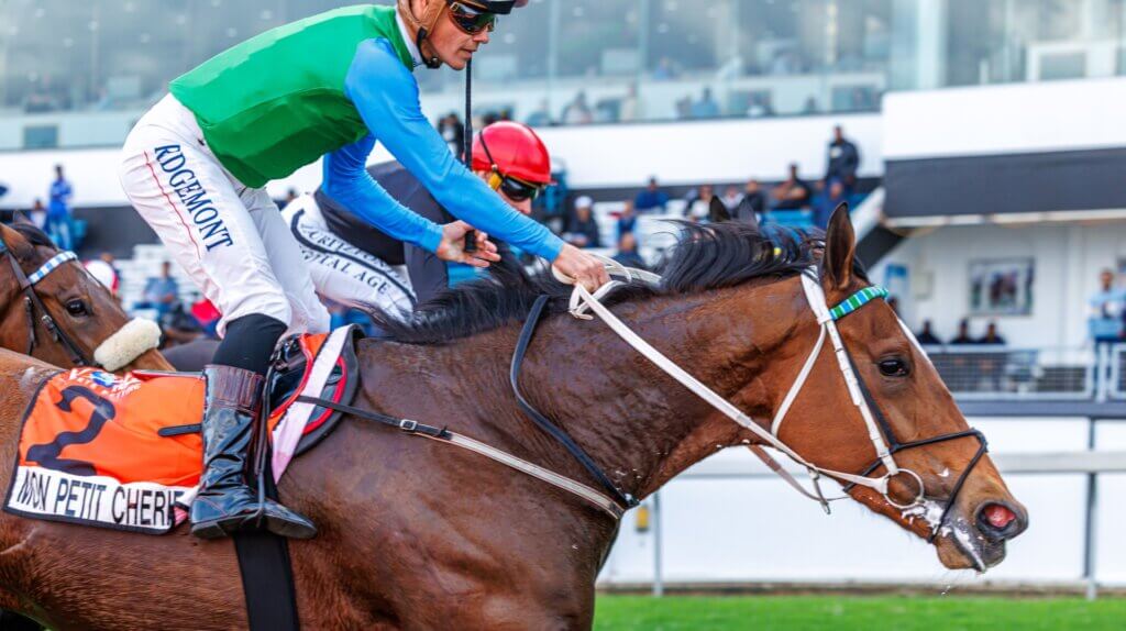 Richard Fourie guiding Mon Petit Cherie to victory in the G2 Fillies Guineas at Greyville