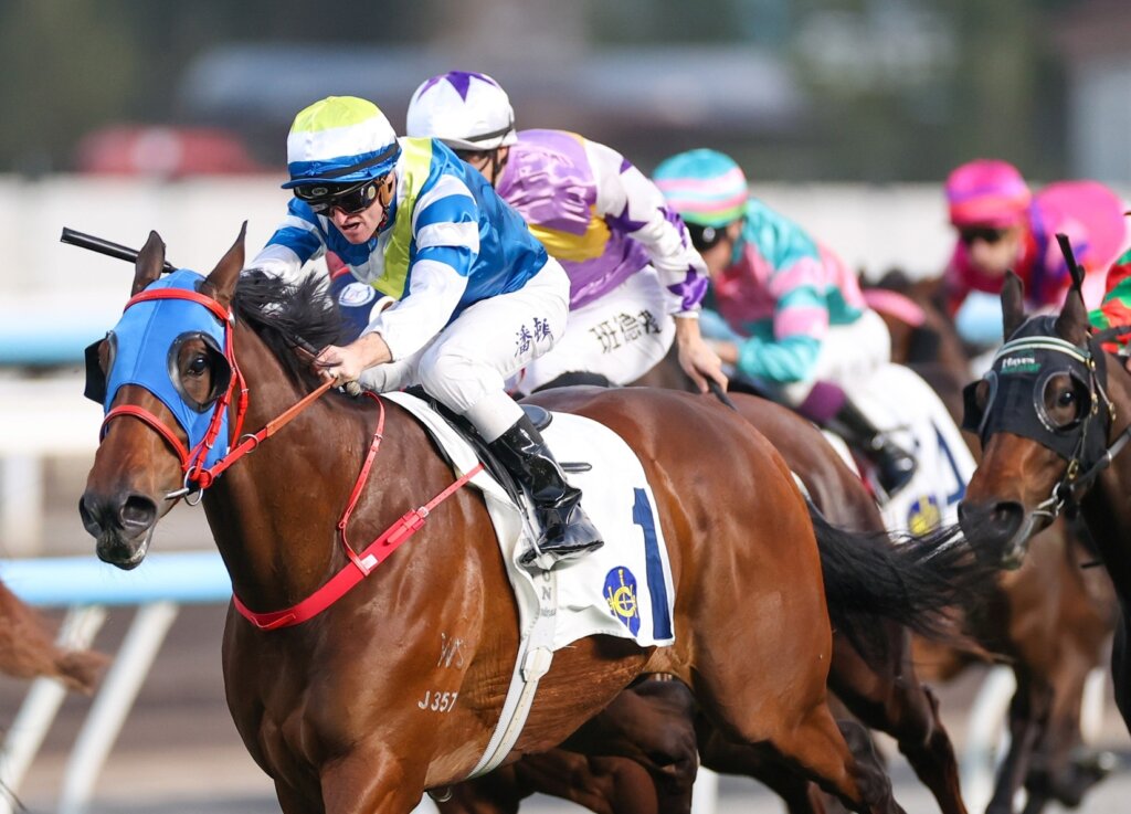 Patch Of Cosmo (HKJC) homepage