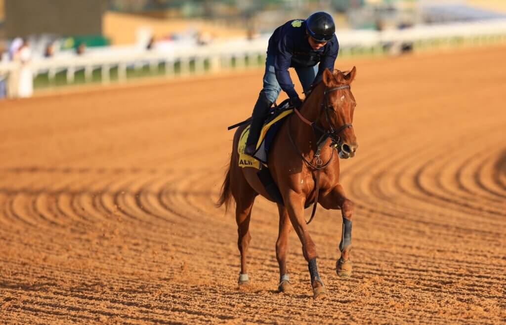 Alohi Alii completes trackwork at King Abdulaziz Racecourse in 2026