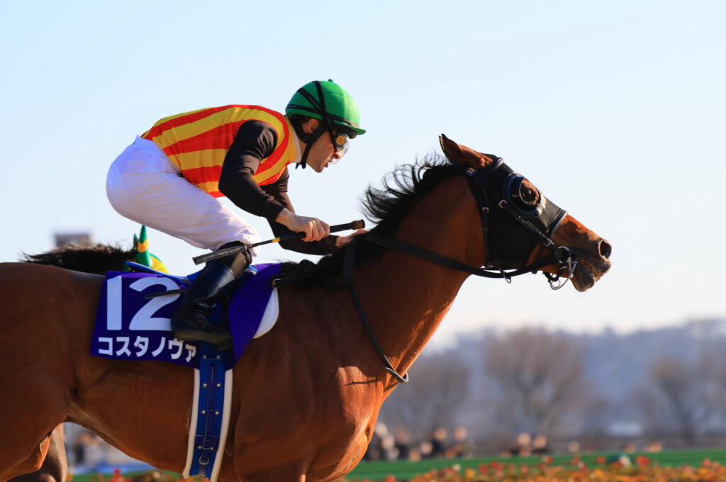 Christophe Lemaire and Costa Nova win the 2026 February Stakes