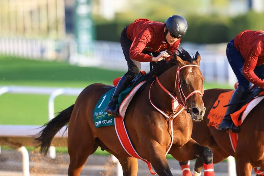 Forever Young and Ryusei Sakai ahead of the 2026 Saudi Cup