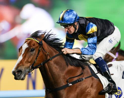 Hugh Bowman winning aboard Infinite Resolve at Sha Tin in 2026