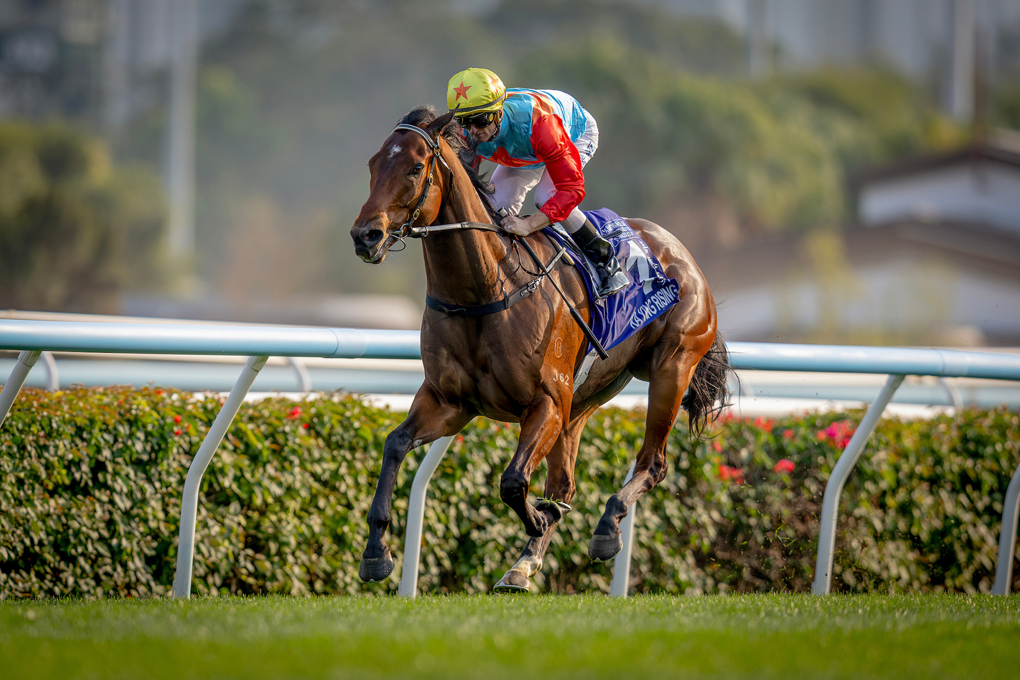 Ka Ying Rising broke Silent Witness's record with an 18th straight win