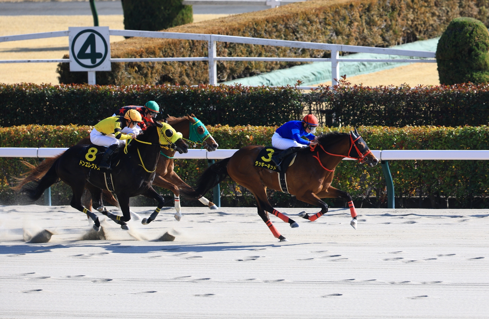 Lucky Kid and Mirai Iwata win the 2026 Hyacinth Stakes at Tokyo