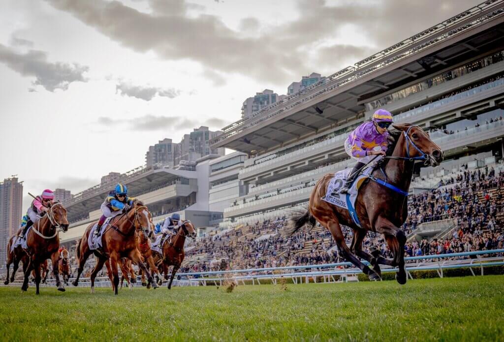 Little P (HKJC) crop