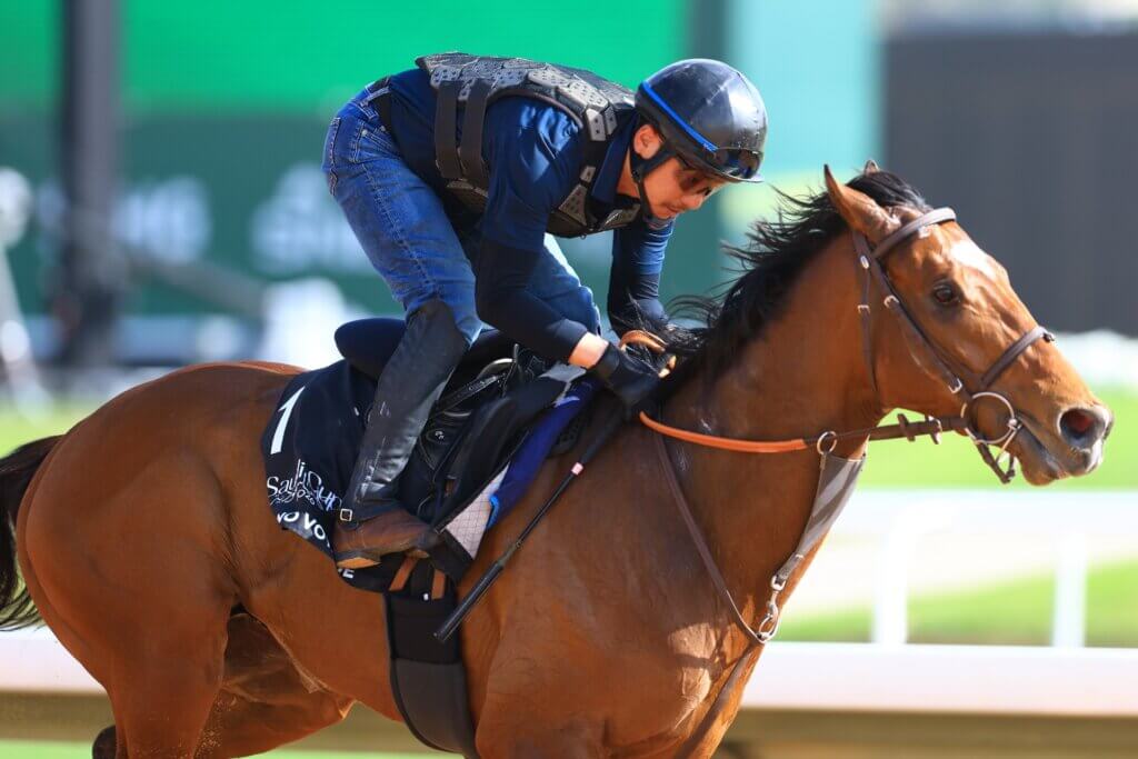 Satono Voyage completes trackwork at King Abdulaziz Racecourse in 2026