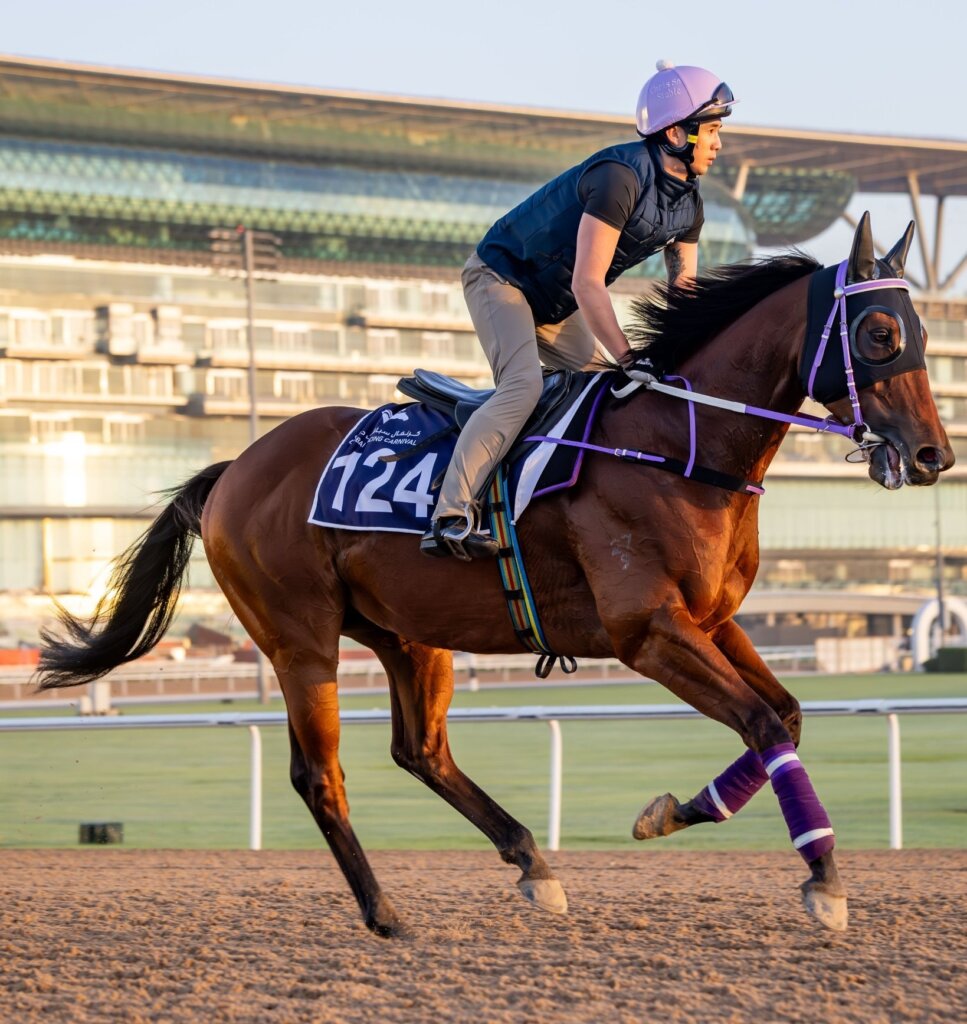 Sing Dragon preparing for the G3 Mahab Al Shimaal in Dubai