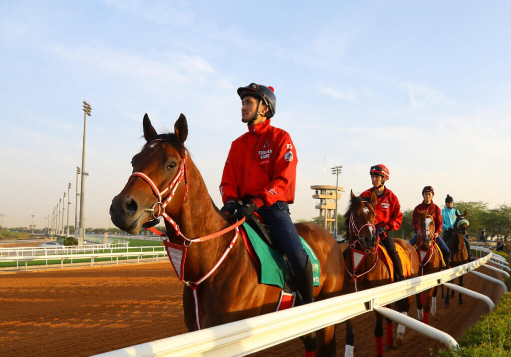 Yoshito Yahagi's string during trackwork in Saudi